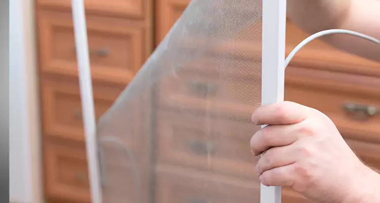 Privacy Mesh Screen Door Installation in Oakland, CA