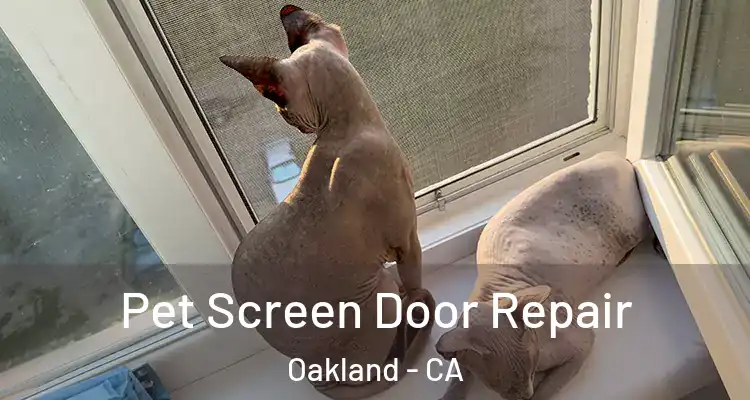  Pet Screen Door Repair Oakland - CA