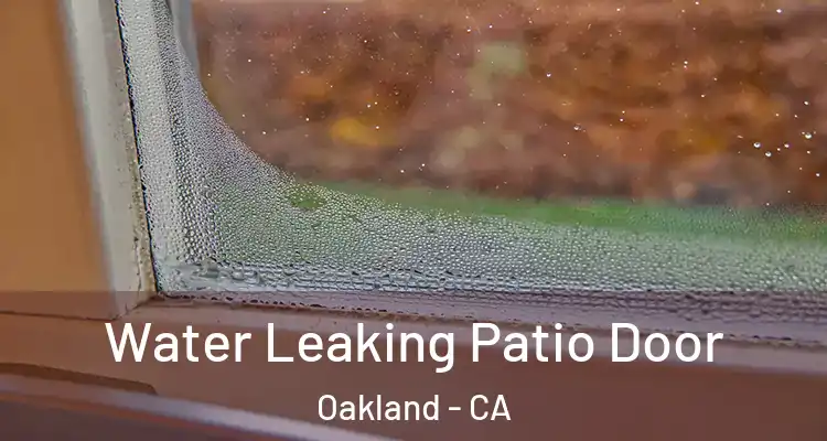  Water Leaking Patio Door Oakland - CA